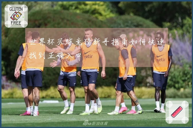 世界杯买球竞猜新手指南如何快速找到正确入口