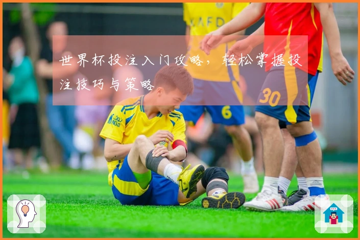 世界杯投注入门攻略，轻松掌握投注技巧与策略