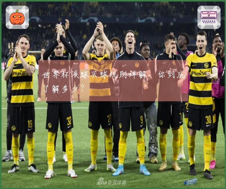 世界杯滚球买球规则详解，你到底了解多少？