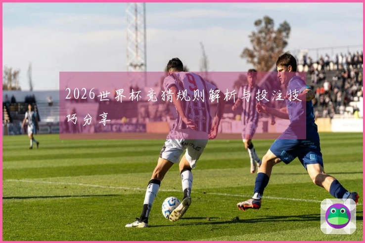 2026世界杯竞猜规则解析与投注技巧分享