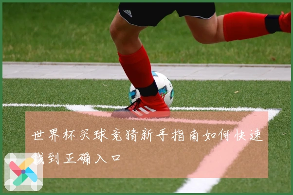 世界杯买球竞猜新手指南如何快速找到正确入口